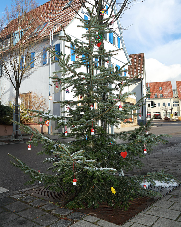 Weihnachtsbaum Ehningen 2017