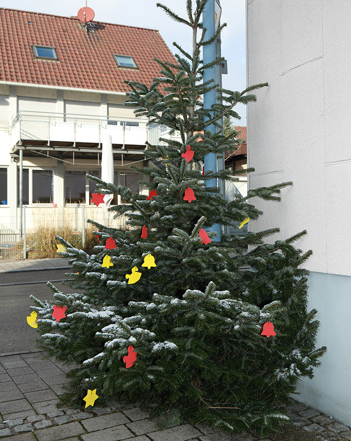 Weihnachtsbaum Ehningen 2017