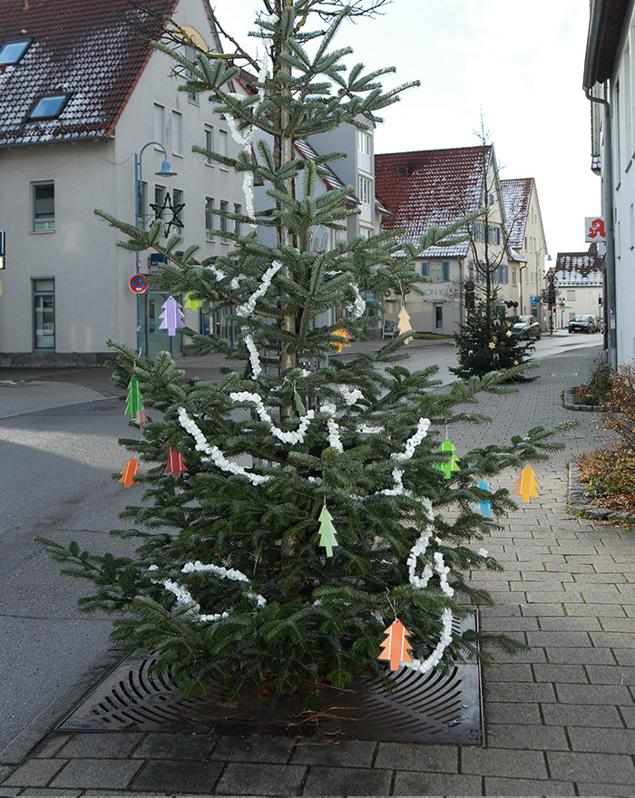 Weihnachtsbaum Ehningen 2017