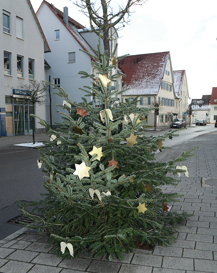 Weihnachtsbaum Ehningen 2017
